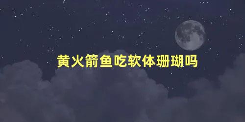 黄火箭鱼吃软体珊瑚吗