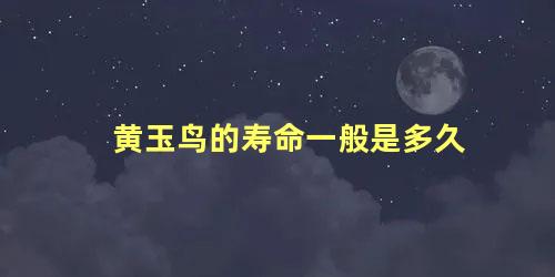 黄玉鸟的寿命一般是多久