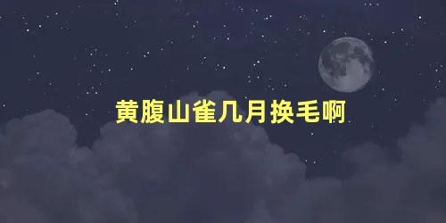 黄腹山雀几月换毛啊