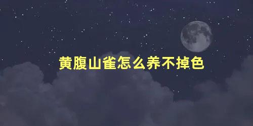 黄腹山雀怎么养不掉色