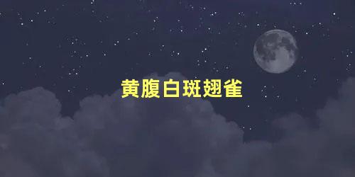 黄腹白斑翅雀