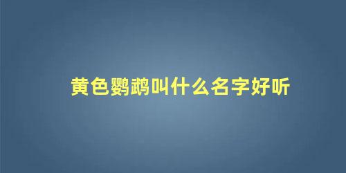 黄色鹦鹉叫什么名字好听