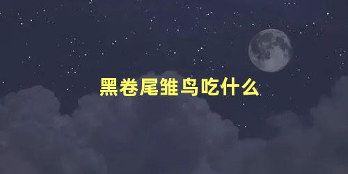 黑卷尾雏鸟吃什么