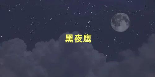 黑夜鹰