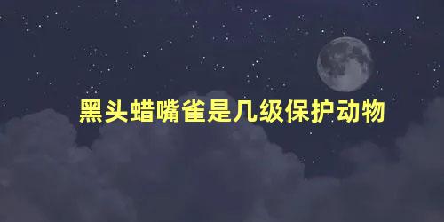 黑头蜡嘴雀是几级保护动物