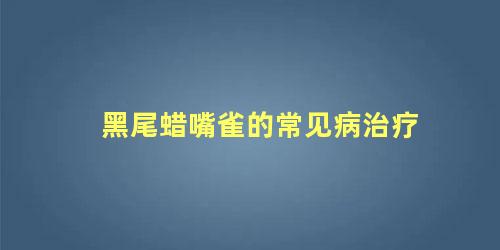 黑尾蜡嘴雀的常见病治疗