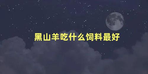 黑山羊吃什么饲料最好