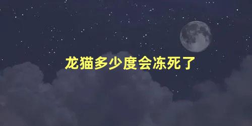 龙猫多少度会冻死了