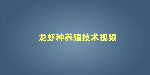 龙虾种养殖技术视频